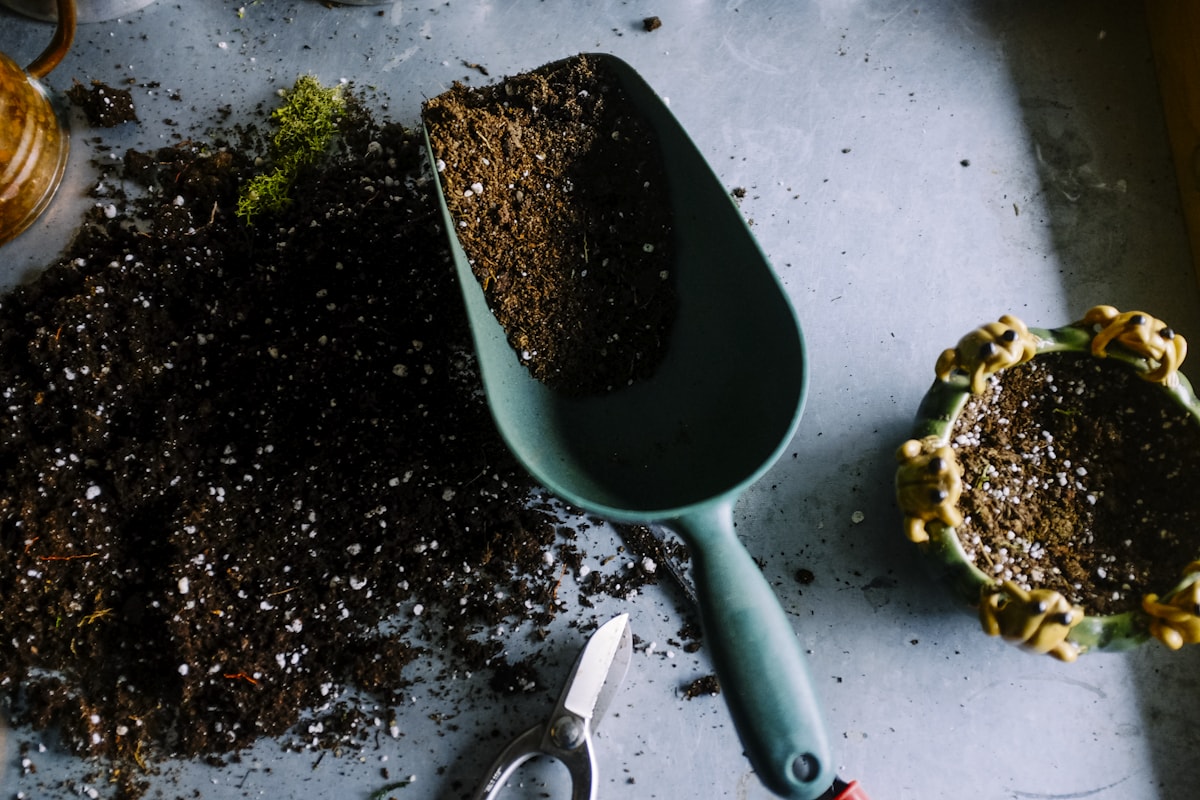 Canteiro elevado em uma horta doméstica com verduras e ervas